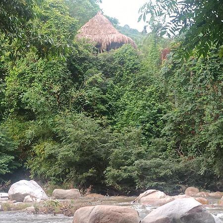 Sierra Tayrona Hostel Эль-Саино Экстерьер фото