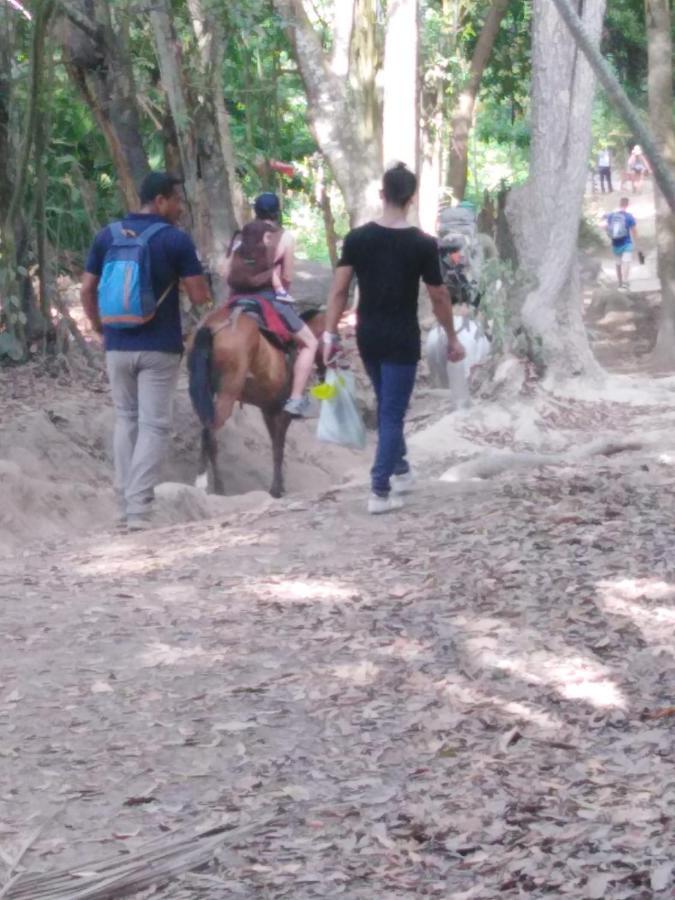 Sierra Tayrona Hostel Эль-Саино Экстерьер фото