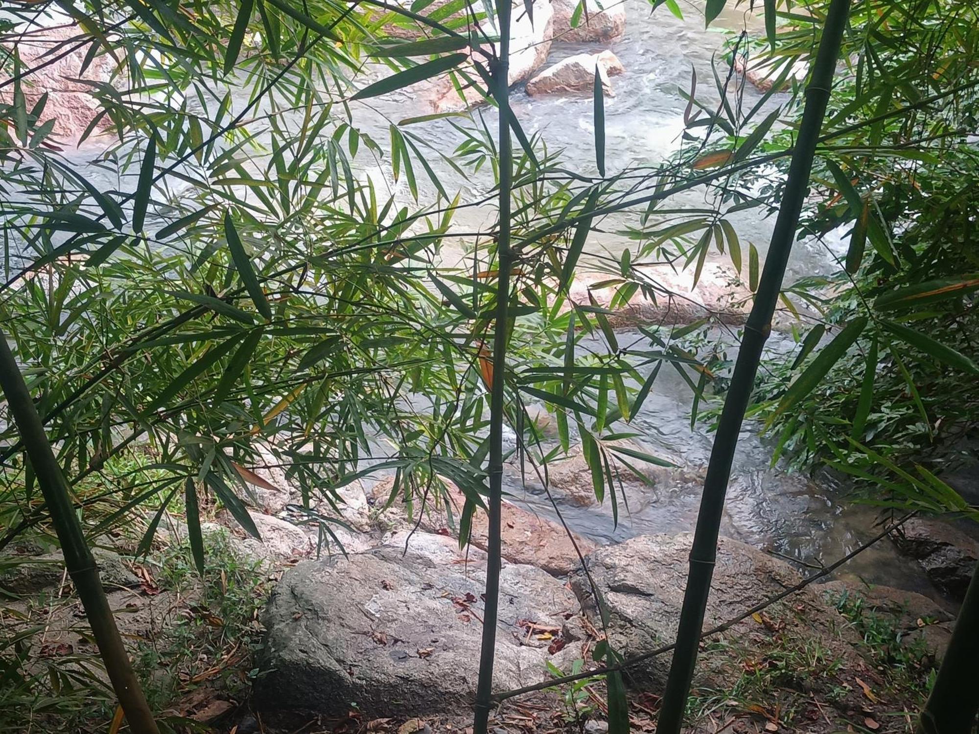 Sierra Tayrona Hostel Эль-Саино Экстерьер фото