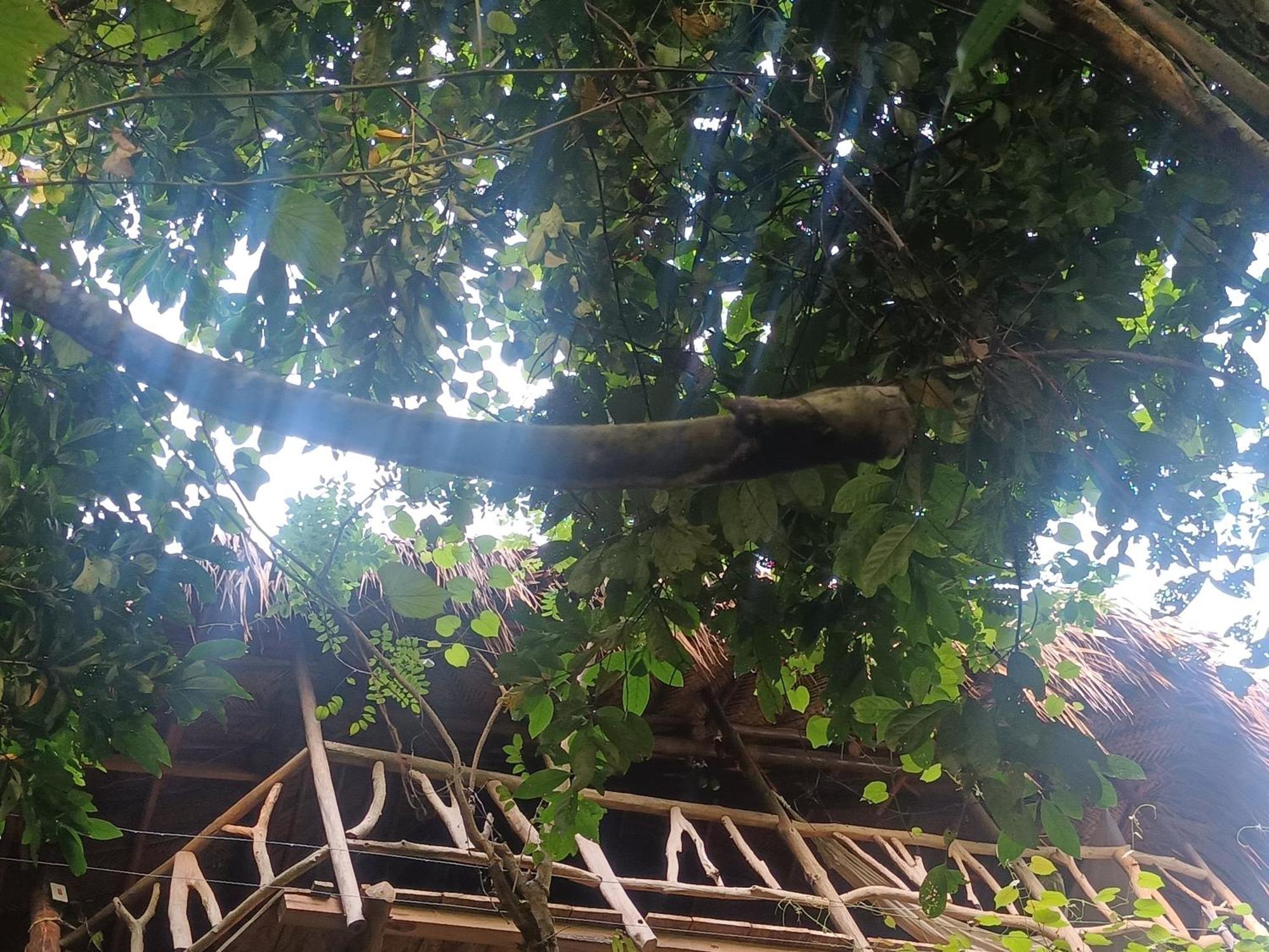 Sierra Tayrona Hostel Эль-Саино Экстерьер фото