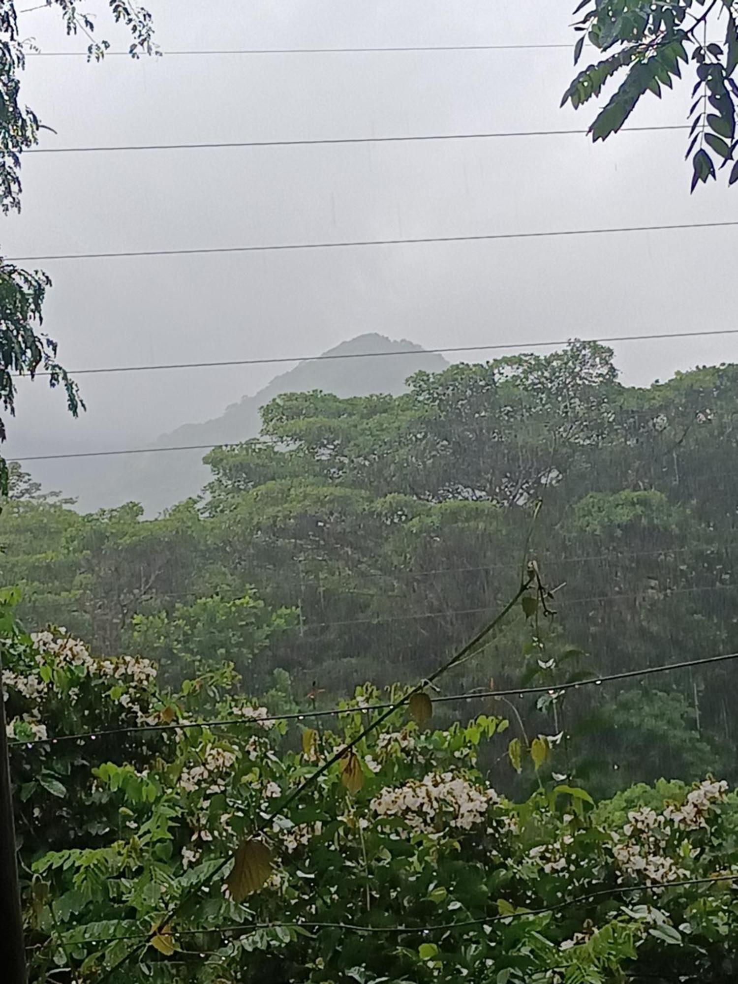Sierra Tayrona Hostel Эль-Саино Экстерьер фото