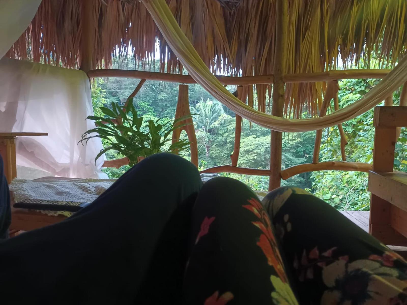 Sierra Tayrona Hostel Эль-Саино Экстерьер фото