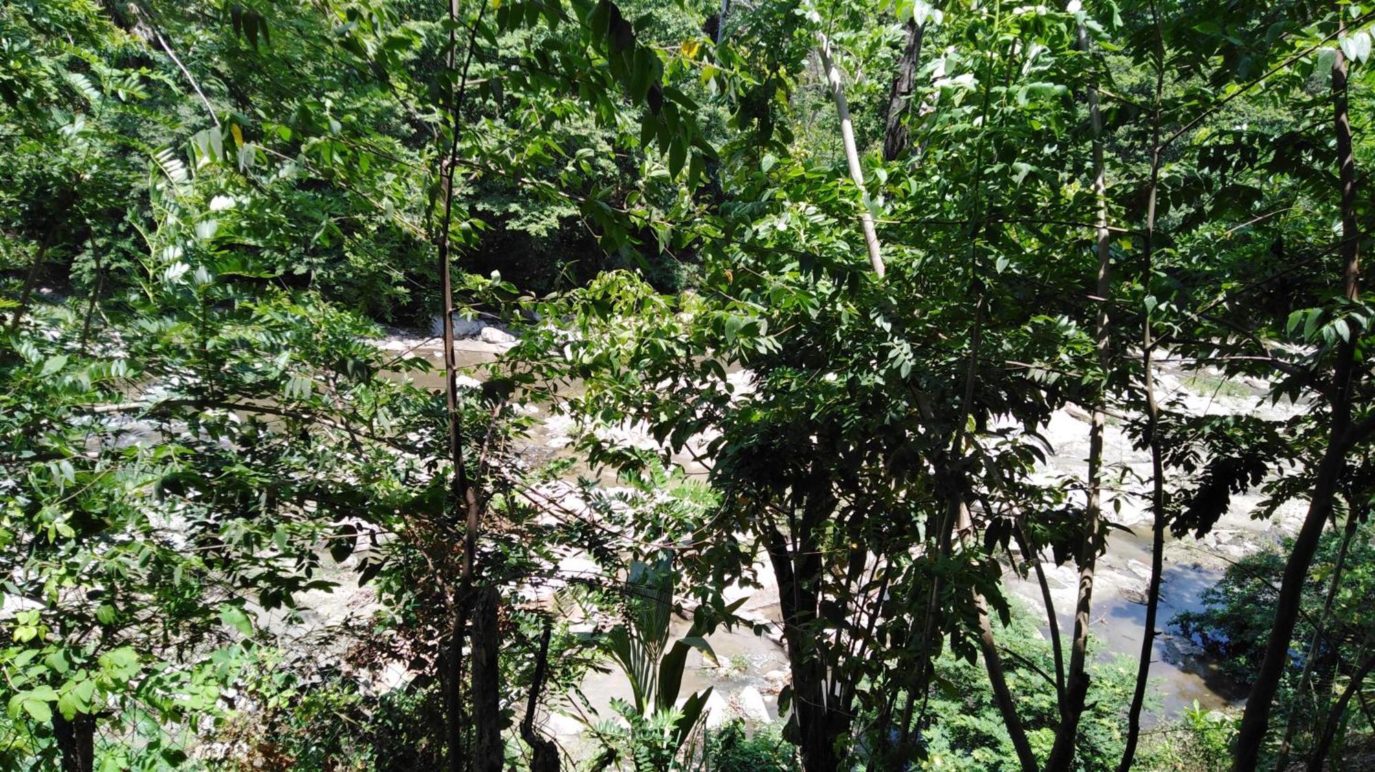 Sierra Tayrona Hostel Эль-Саино Экстерьер фото