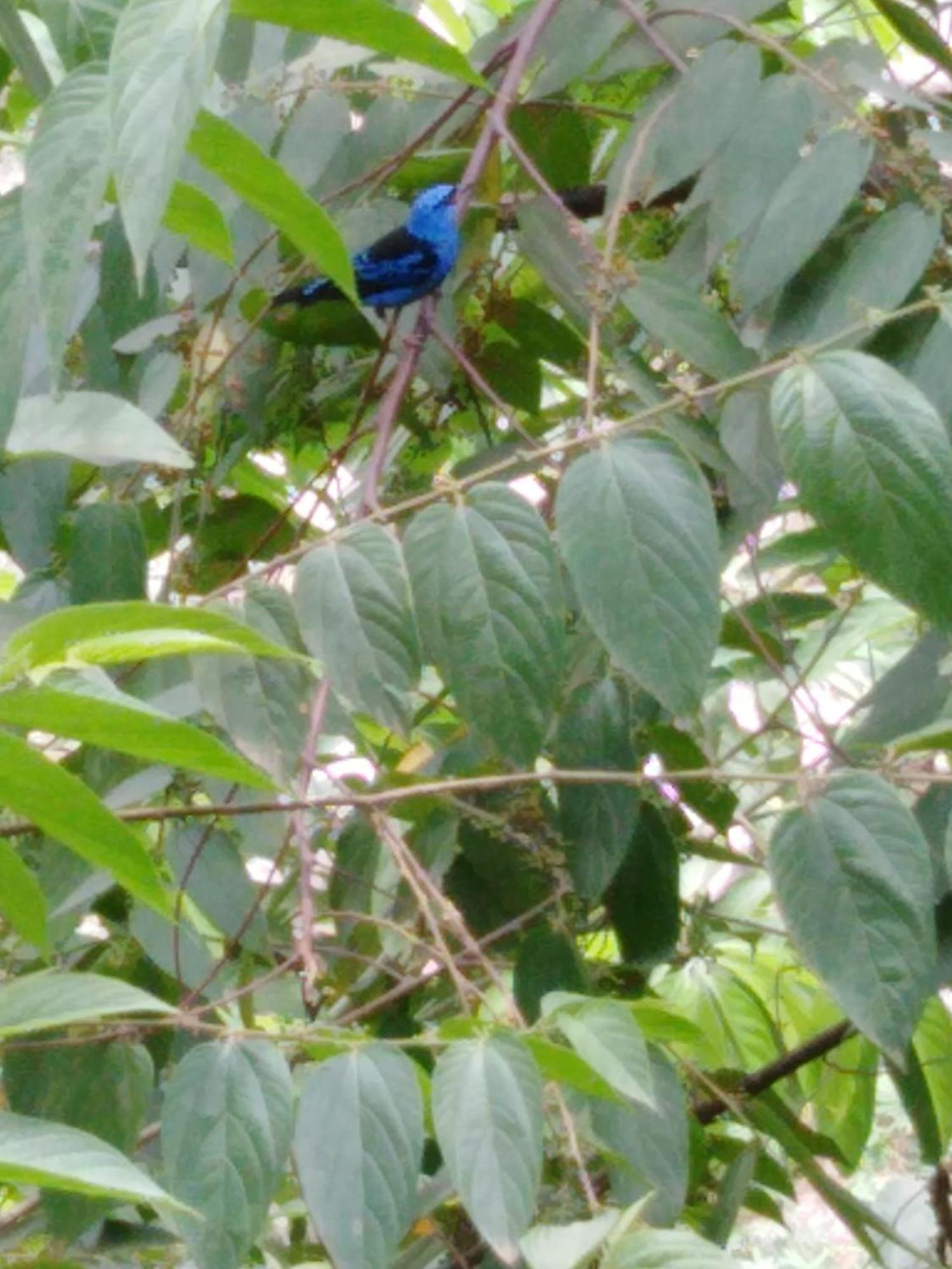 Sierra Tayrona Hostel Эль-Саино Экстерьер фото