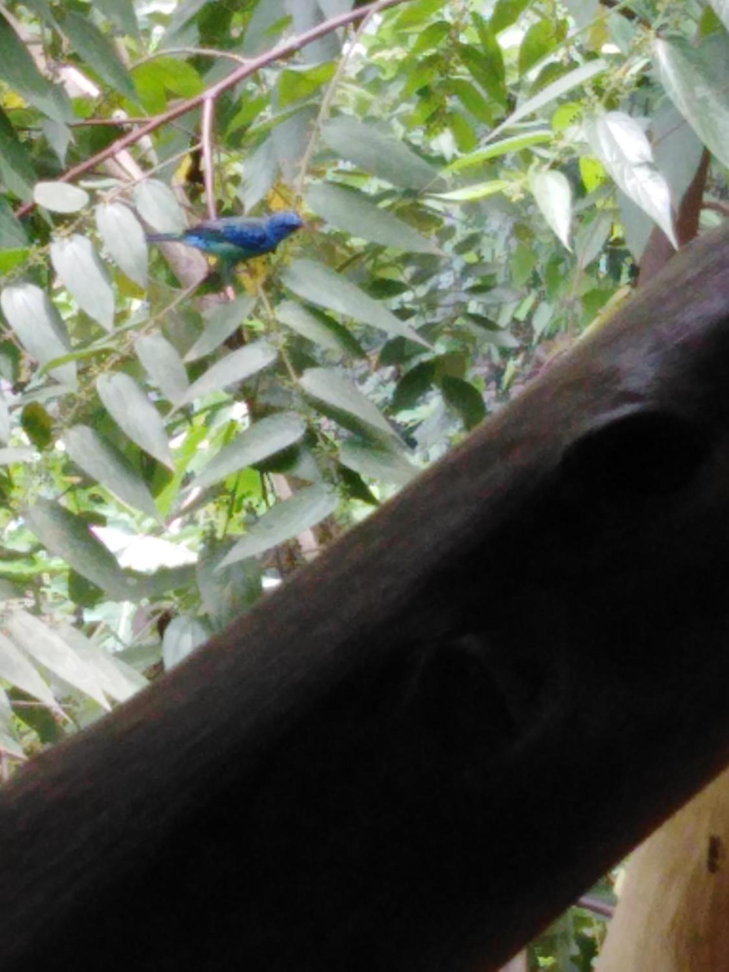 Sierra Tayrona Hostel Эль-Саино Экстерьер фото