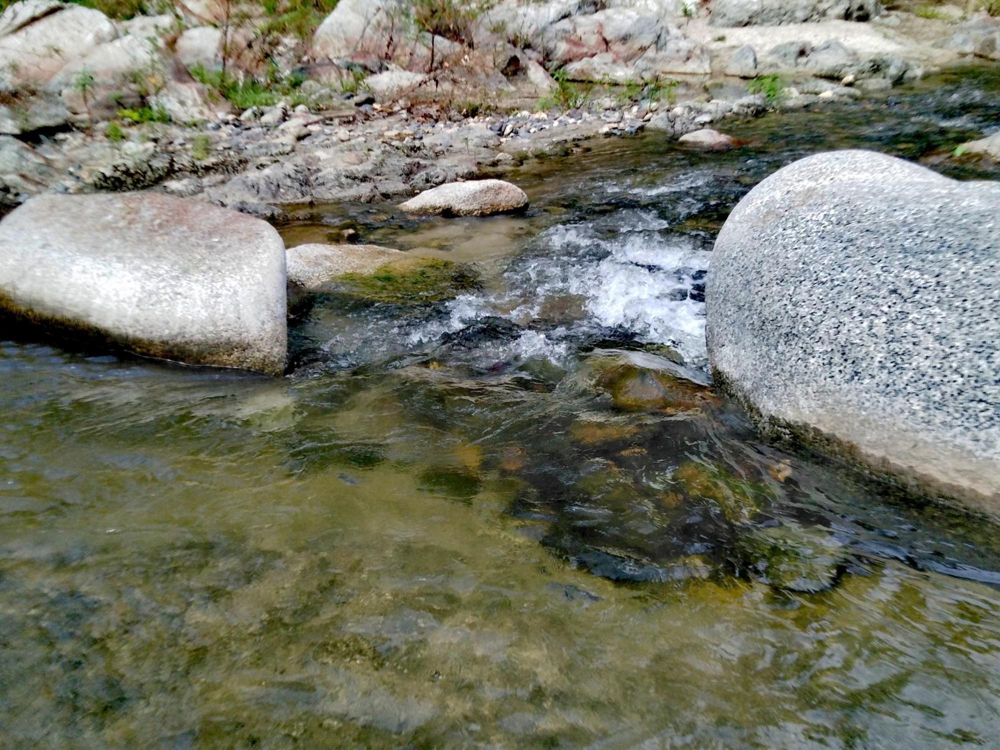 Sierra Tayrona Hostel Эль-Саино Экстерьер фото