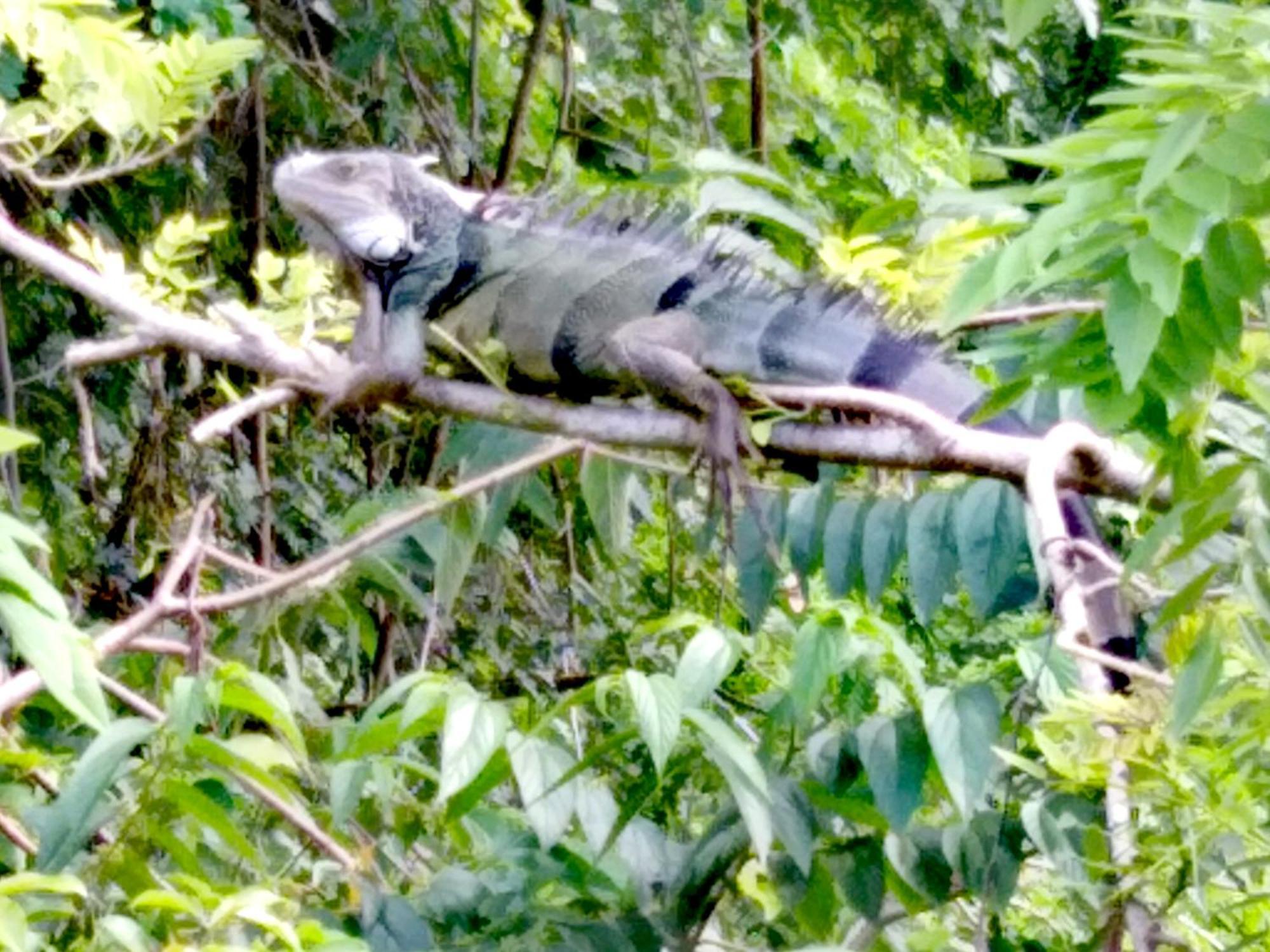 Sierra Tayrona Hostel Эль-Саино Экстерьер фото