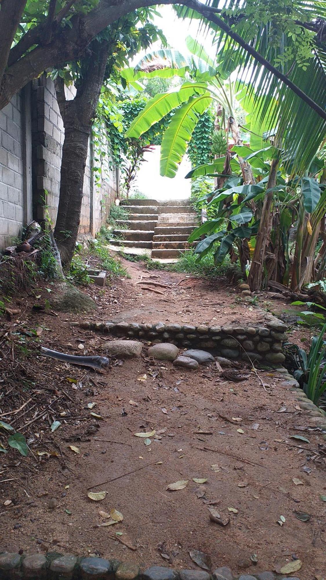 Sierra Tayrona Hostel Эль-Саино Экстерьер фото