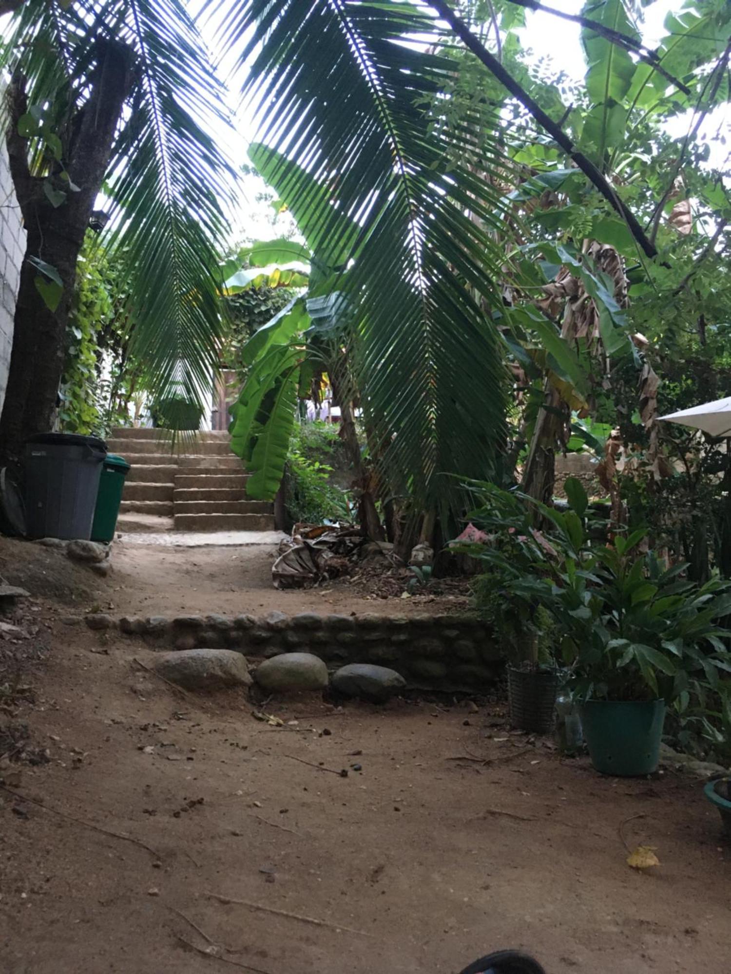 Sierra Tayrona Hostel Эль-Саино Экстерьер фото